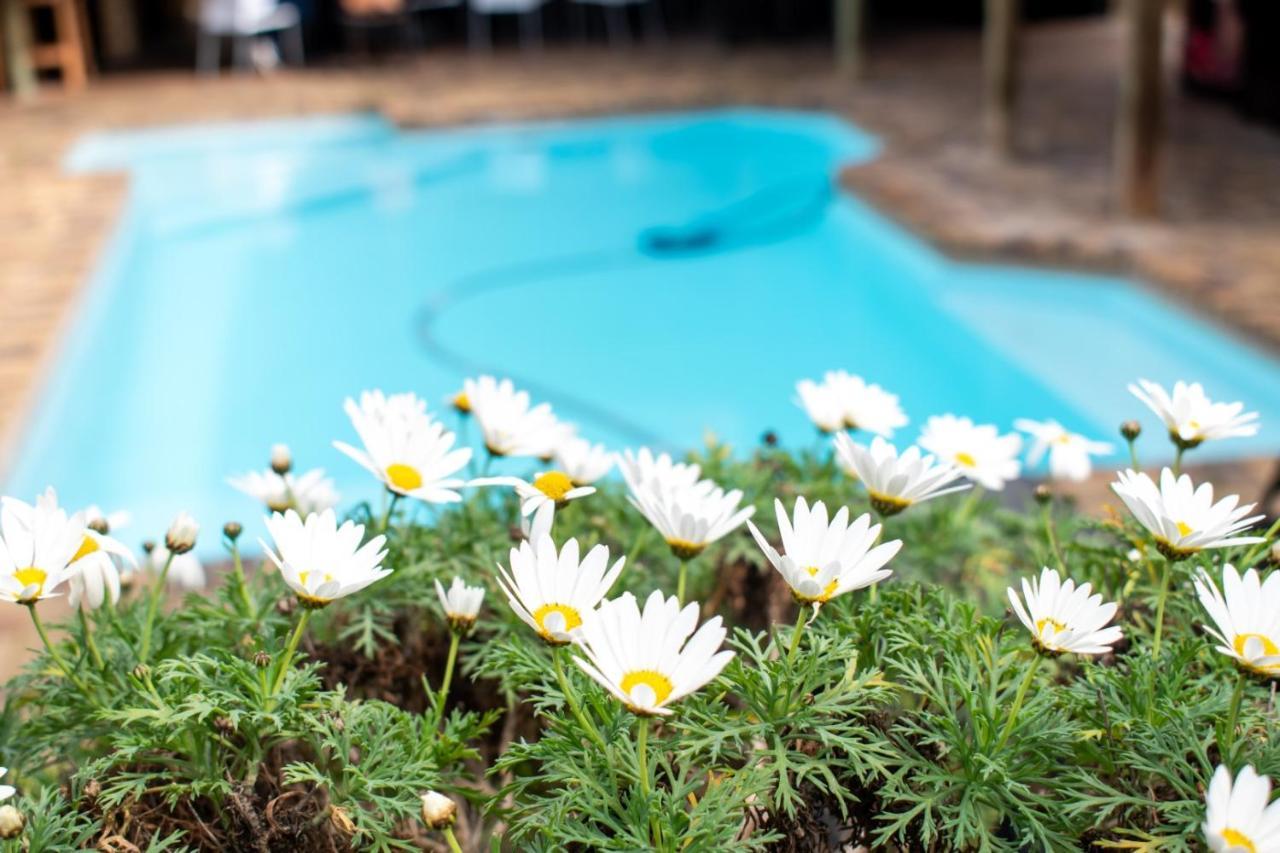 Balmoral Lodge Bellville Dış mekan fotoğraf