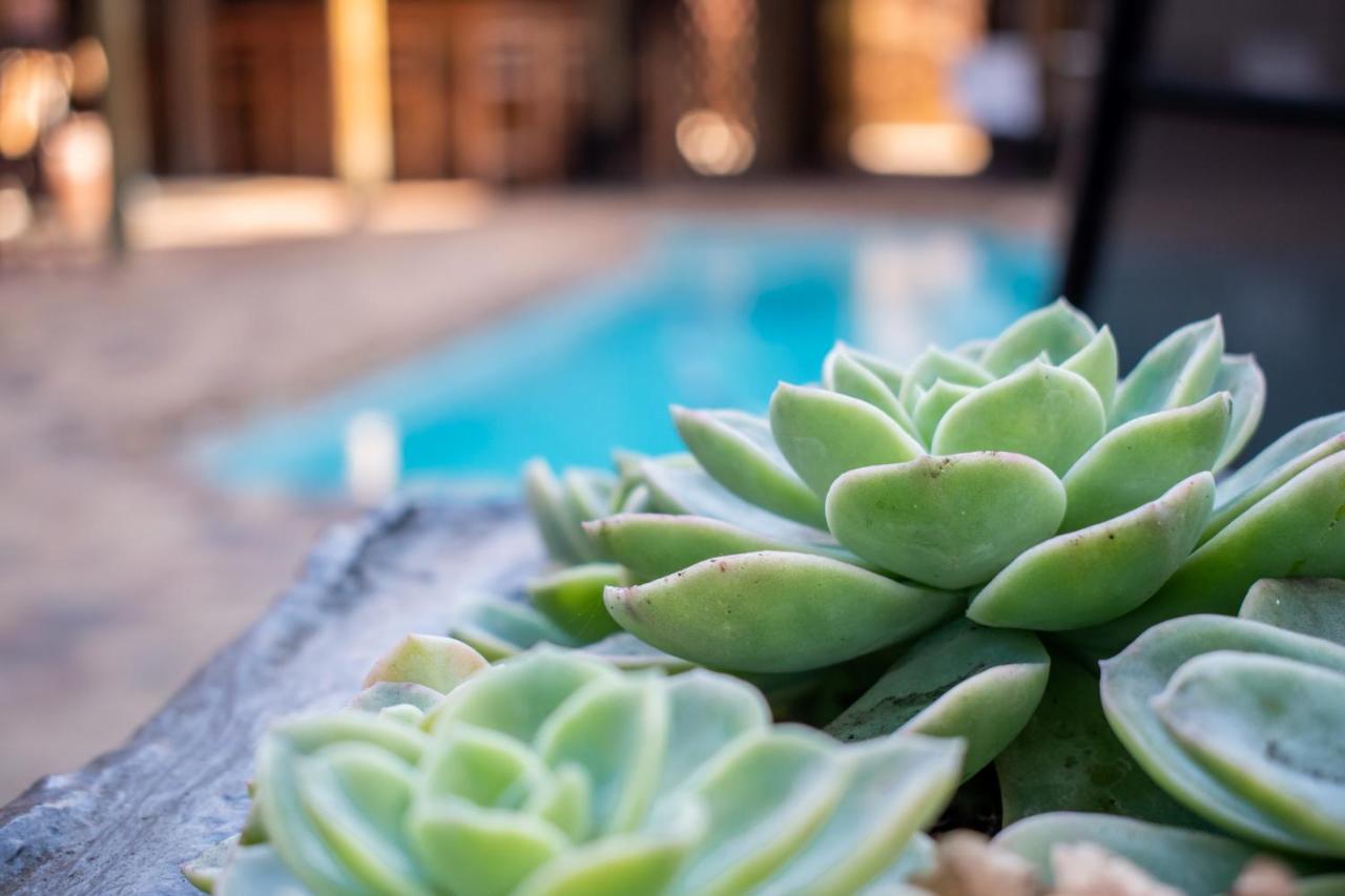 Balmoral Lodge Bellville Dış mekan fotoğraf